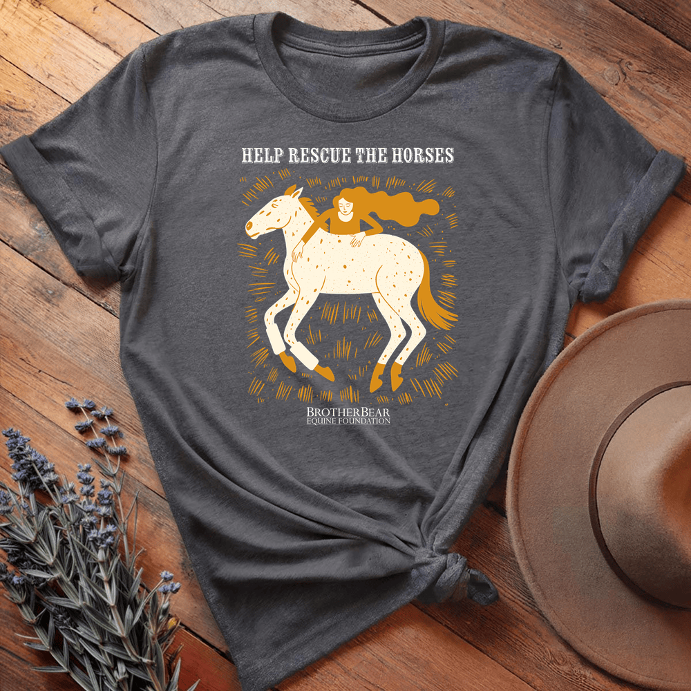 Brother Bear Shirt 3 - Dark Heather