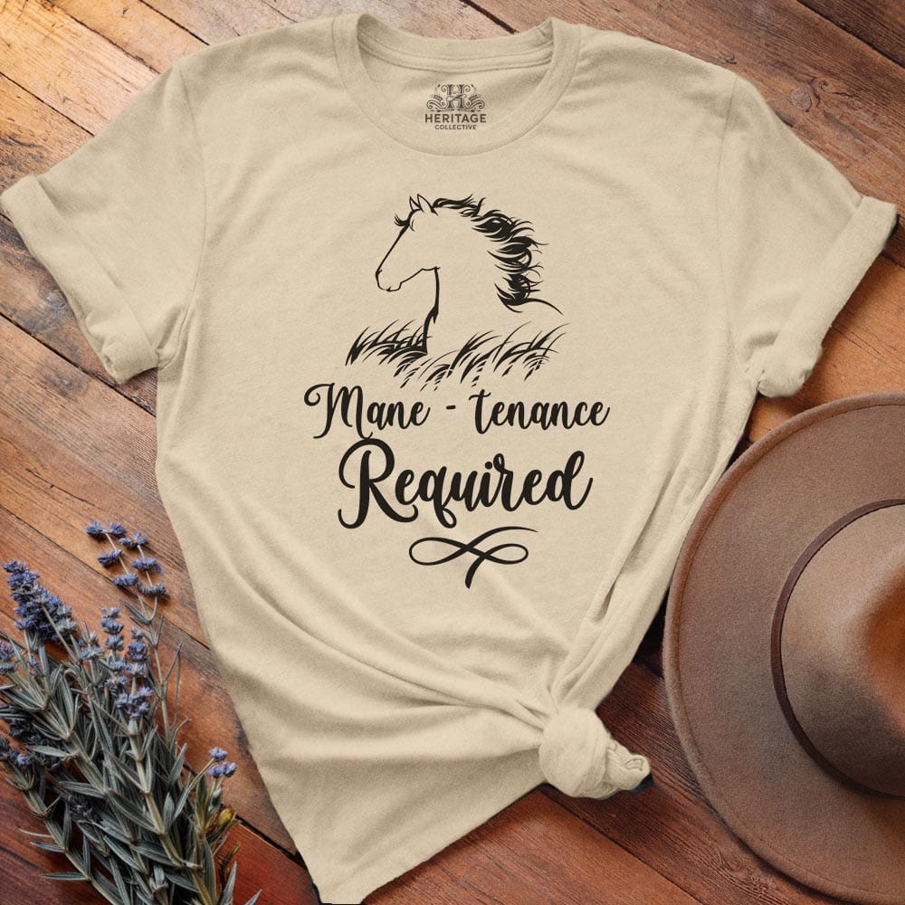 Mane-tenance Required - Relaxed Tee