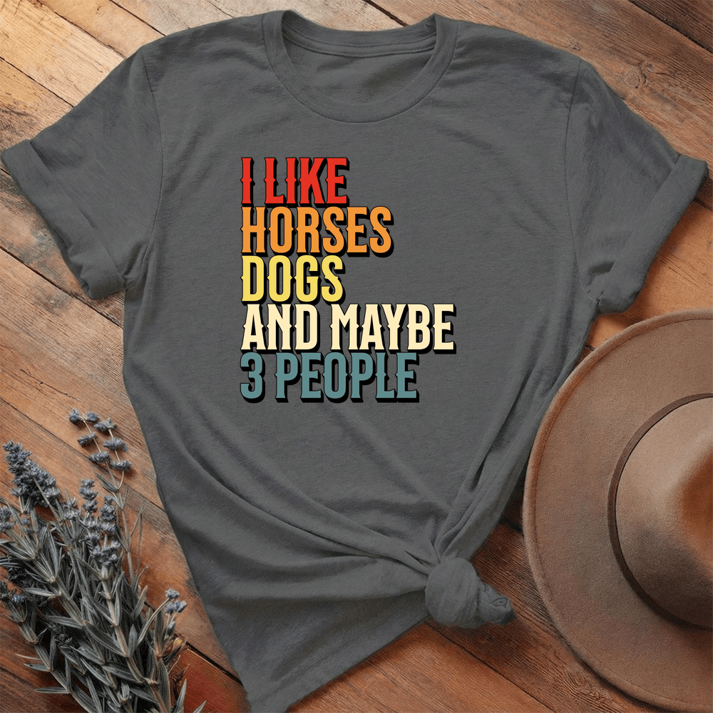 I like Horses and... - Premium Lightweight Tee - Asphalt