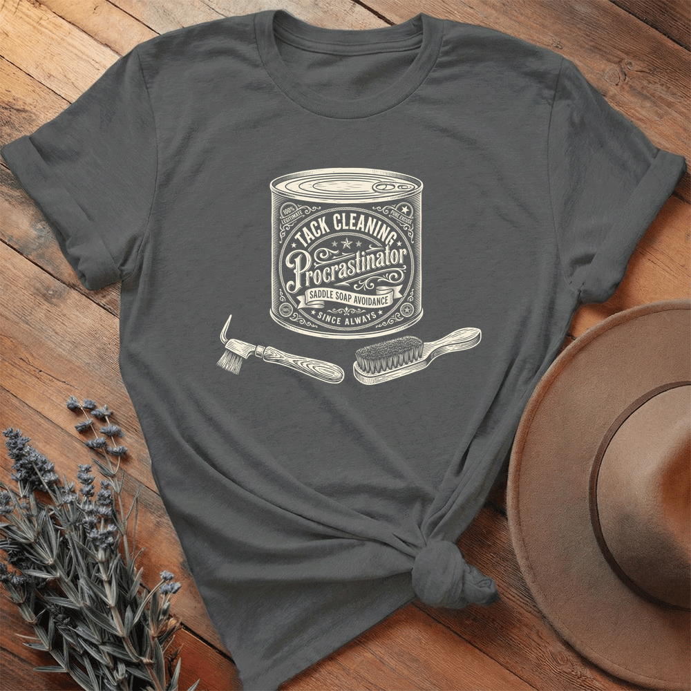 Tack Cleaning Procrastinator 2 - Premium Lightweight Tee - Asphalt