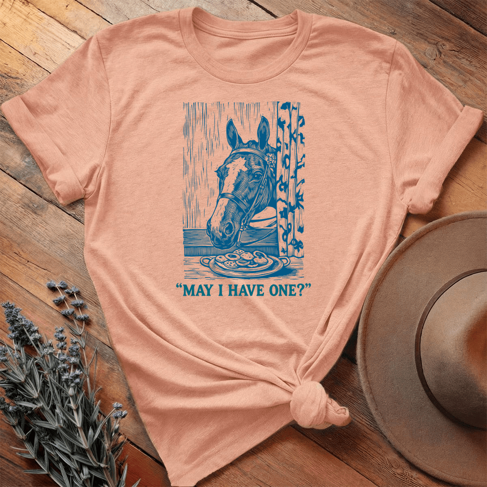 Vintage Art 3 - Premium Lightweight Tee - Heather Peach