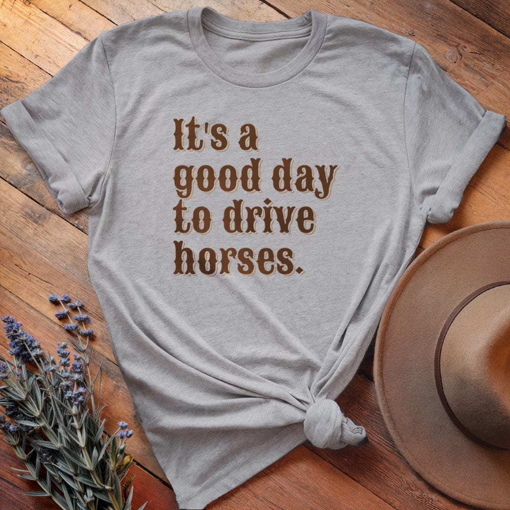 It is a good day to drive horses