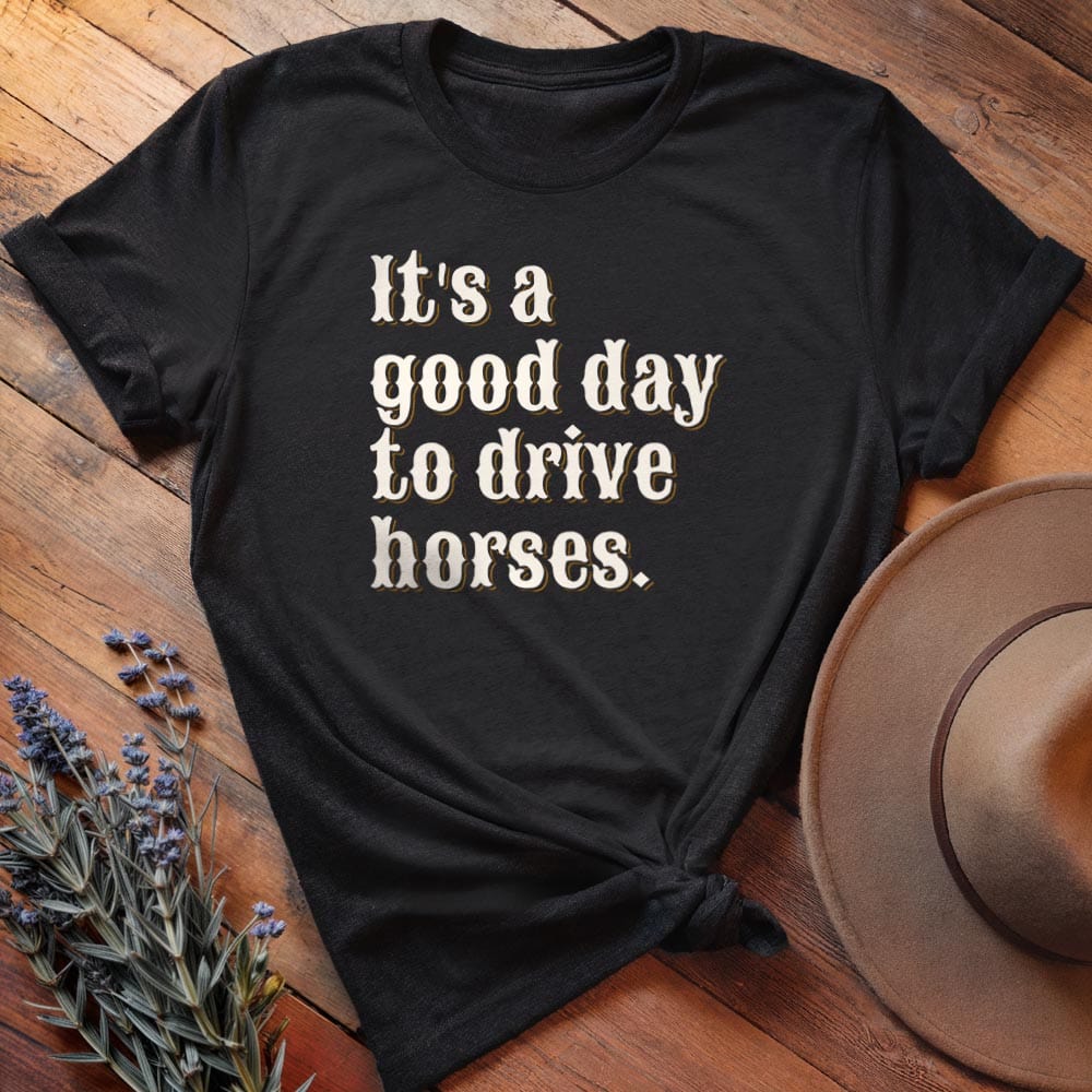 It is a good day to drive horses
