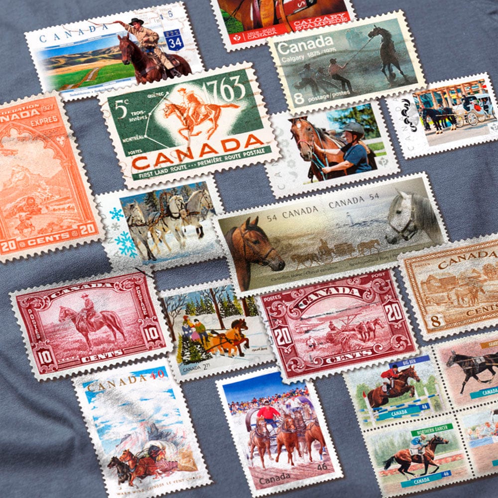 Horses Stamps Canada - Heavyweight