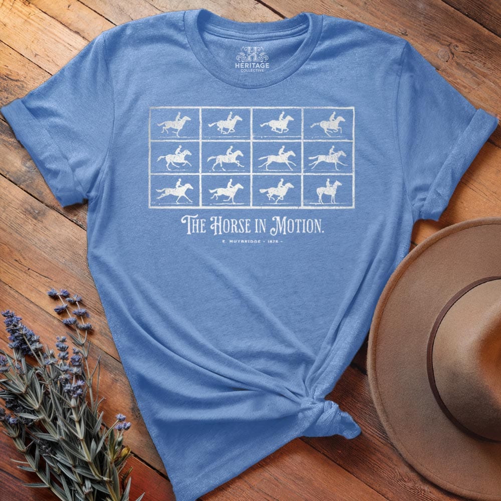 The Horse in Motion