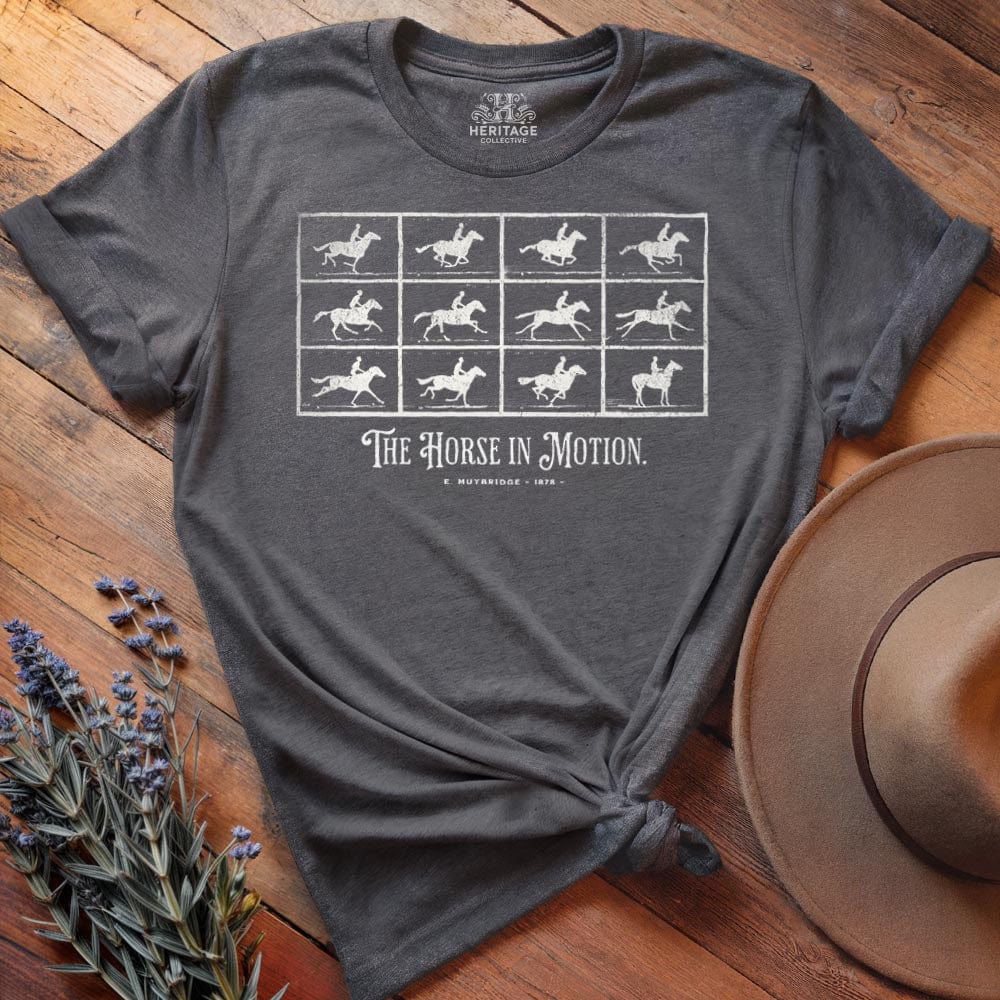 The Horse in Motion