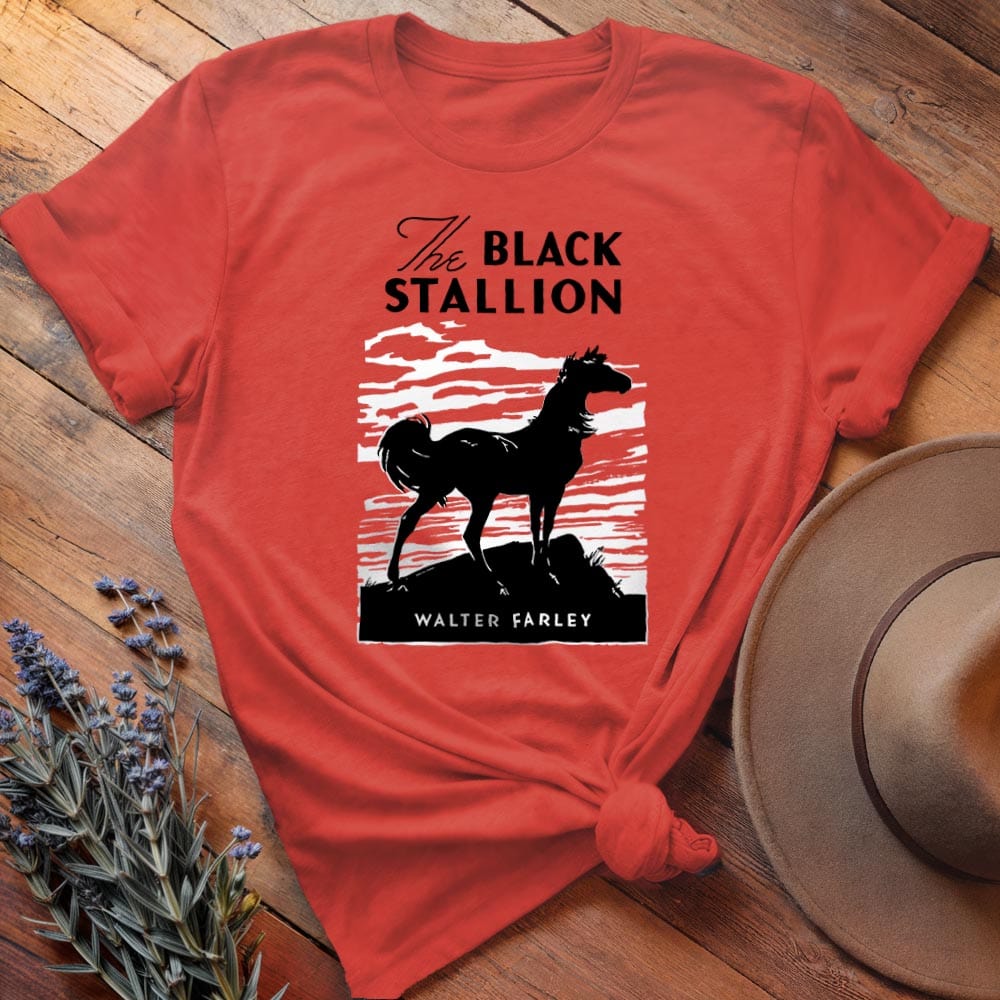 The Black Stallion Cover