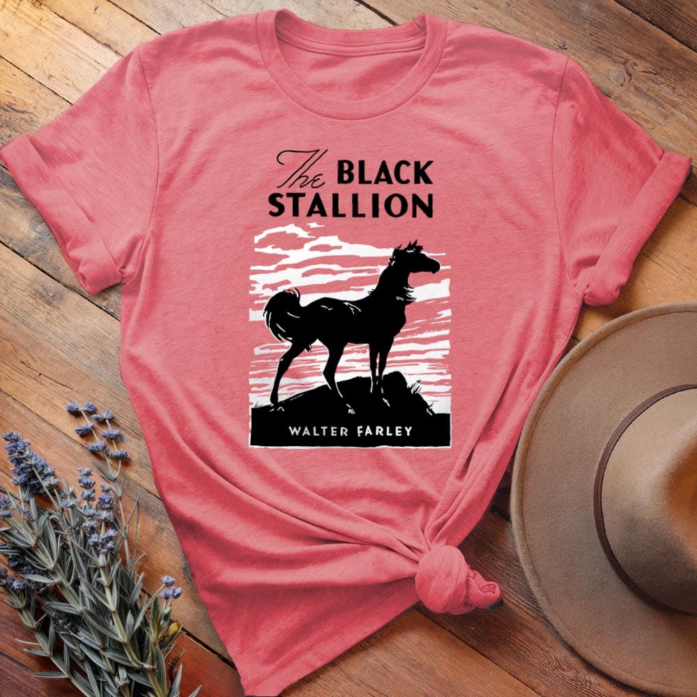 The Black Stallion Cover