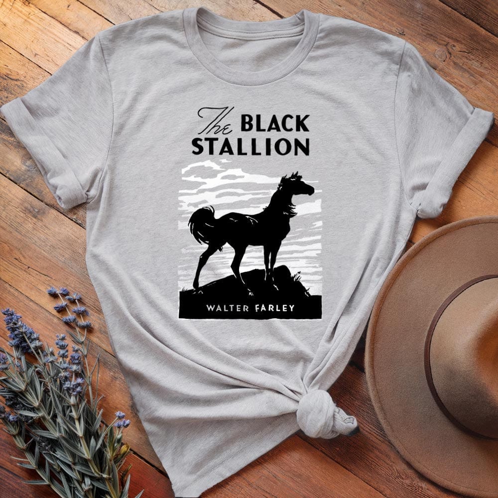 The Black Stallion Cover
