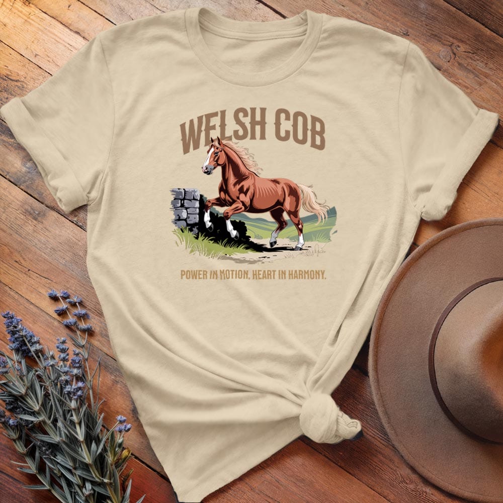 Breed Spirit, Welsch Cob