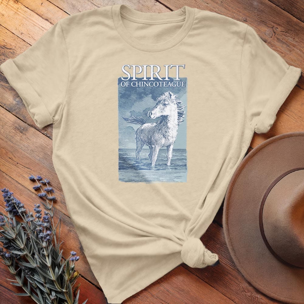 Misty of Chincoteague