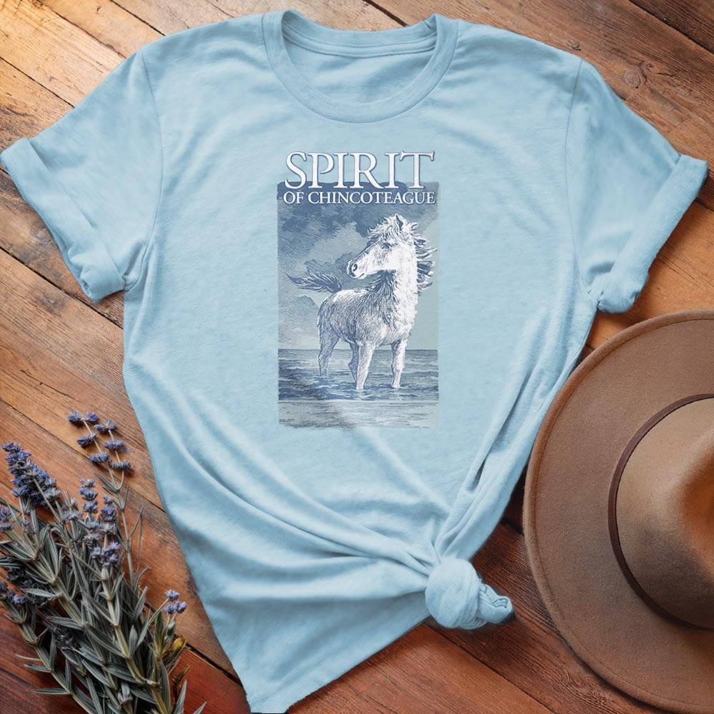 Misty of Chincoteague