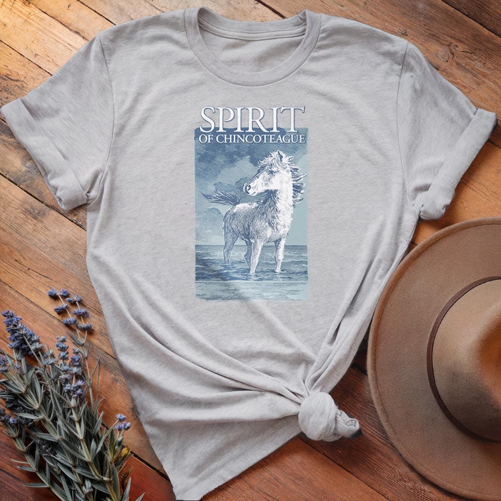 Misty of Chincoteague